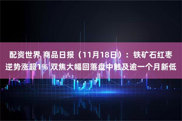 配资世界 商品日报（11月18日）：铁矿石红枣逆势涨超1% 双焦大幅回落盘中触及逾一个月新低