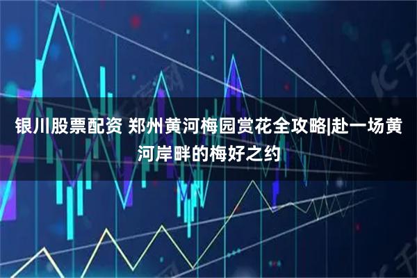 银川股票配资 郑州黄河梅园赏花全攻略|赴一场黄河岸畔的梅好之约